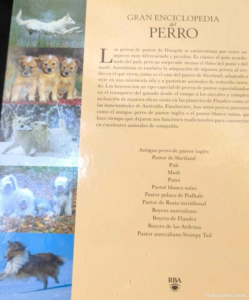 Libros de segunda mano: GRAN ENCICLOPEDIA DEL PERRO (PERROS DE PASTOR) - Foto 2