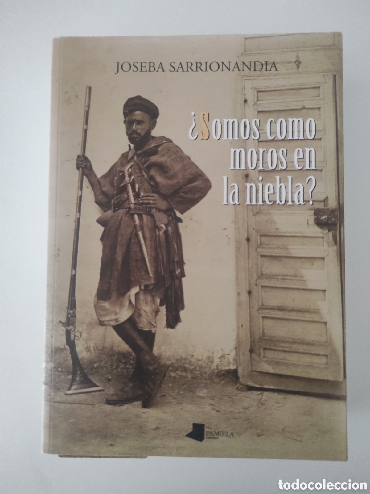Libros de segunda mano: &iquest; Somos como moros en la niebla ? Joseba Sarrionandia. Pamiela 2012 Primera edici&oacute;n en castellano.