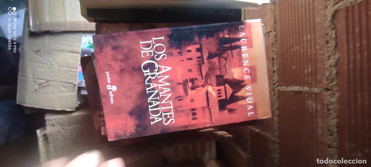 Libros de segunda mano: Vidal. Los amantes de Granada