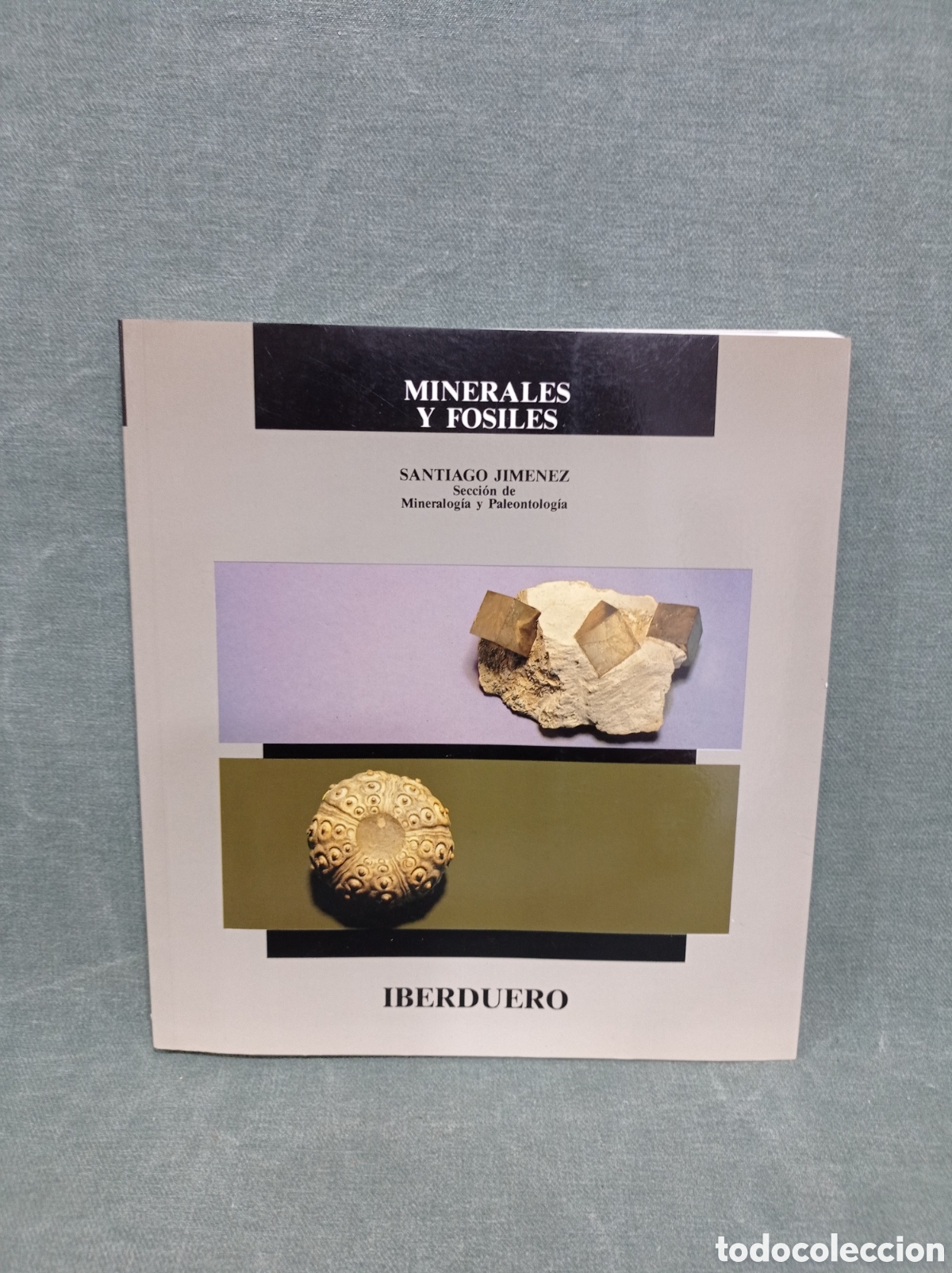 Libros de segunda mano: MINERALES Y F&Oacute;SILES - SANTIAGO JIM&Eacute;NEZ - IBERDUERO