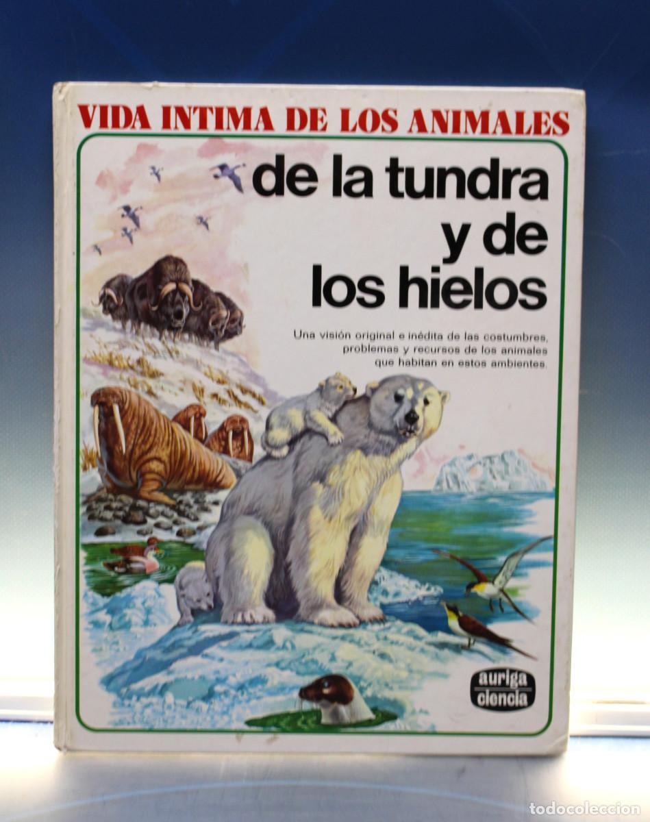 Libros de segunda mano: Vida &Iacute;ntima de los Animales: de la tundra y de los hielos. Auriga Ciencia, 1979.