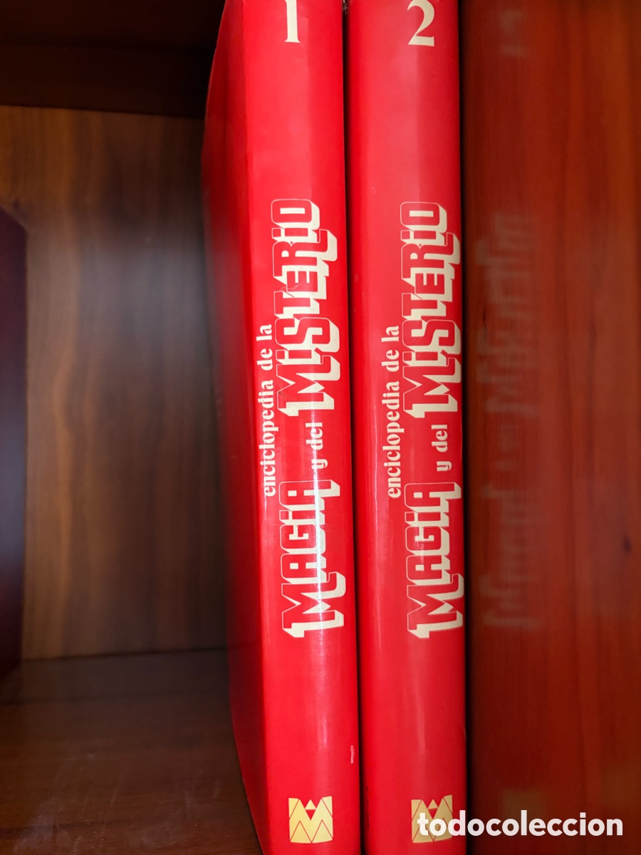 Libros de segunda mano: Enciclopedia de la magia y el misterio