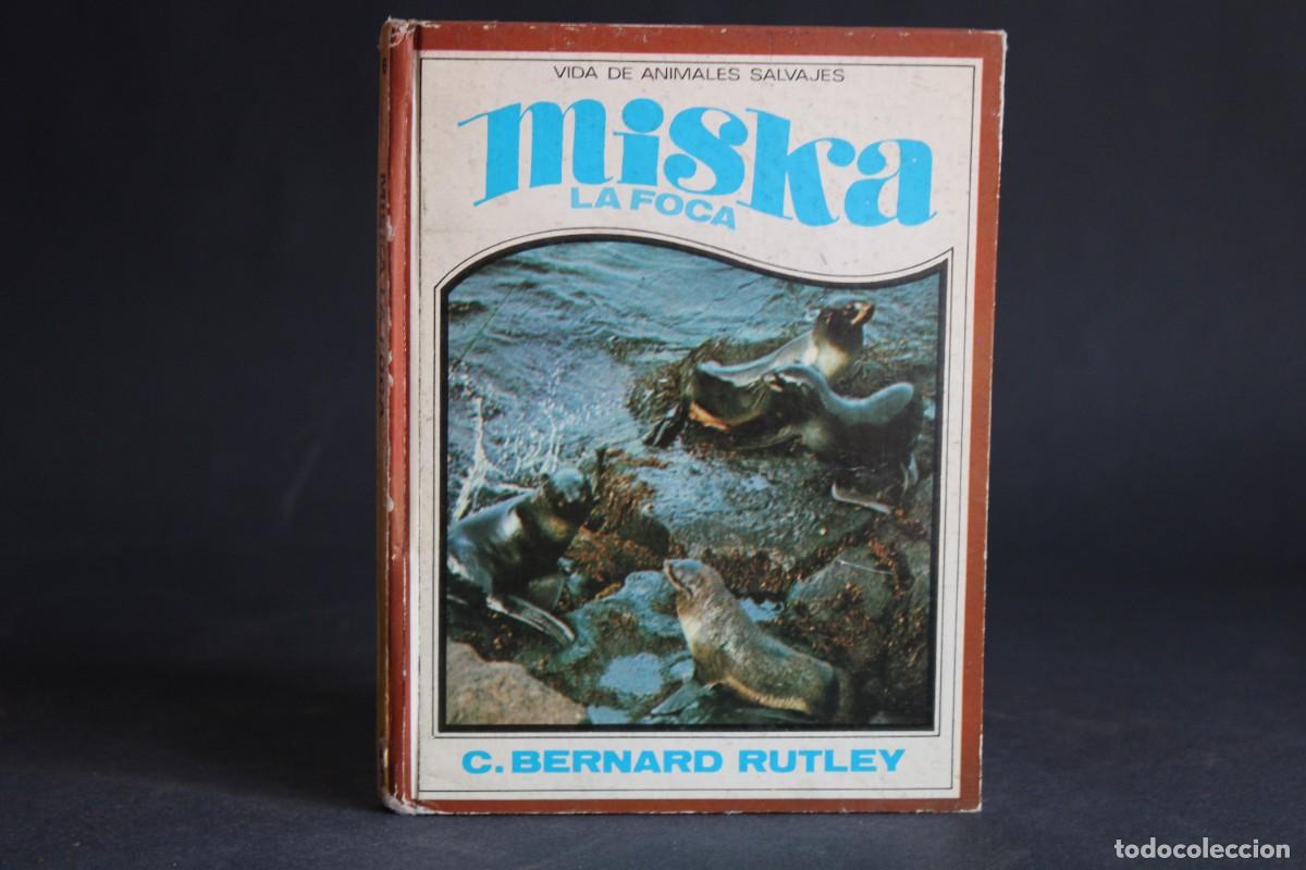Livros em segunda m&atilde;o: MISKA,LA FOCA / C.BERNARD RUTLEY