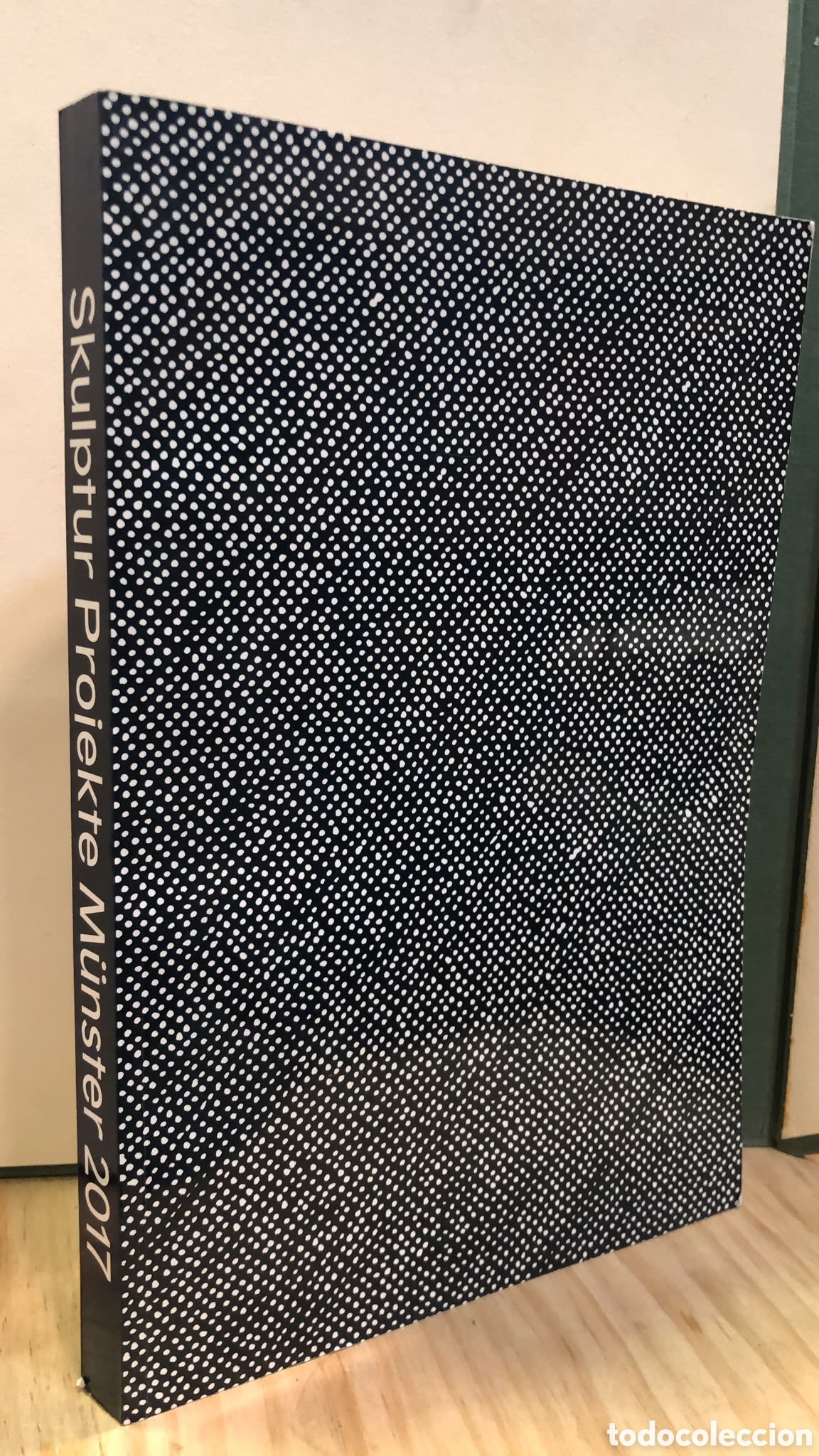 Gebrauchte B&uuml;cher: Skulptur Projekte M&uuml;nster 2017 (Cat&aacute;logo de arte)