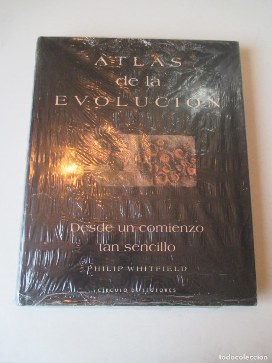 Libros de segunda mano: PHILIP WHITFIELD Atlas de la evoluci&oacute;n W41821