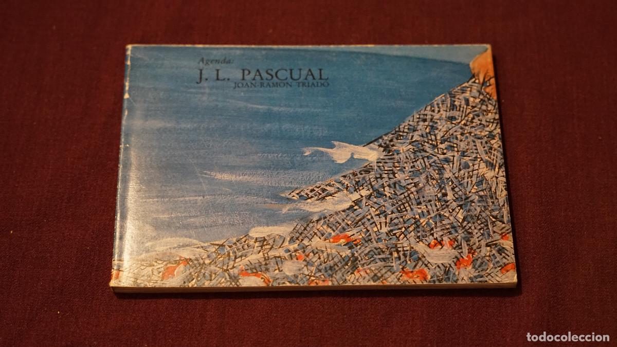 Libros de segunda mano: Joan Ramon Triad&oacute; - Agenda J. L. Pascual - Ambit 1988