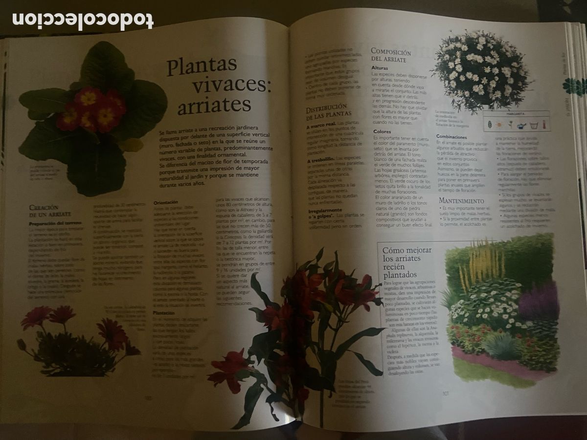 Libros de segunda mano: MANUAL PRACTICO DE JARDINERIA - Foto 2