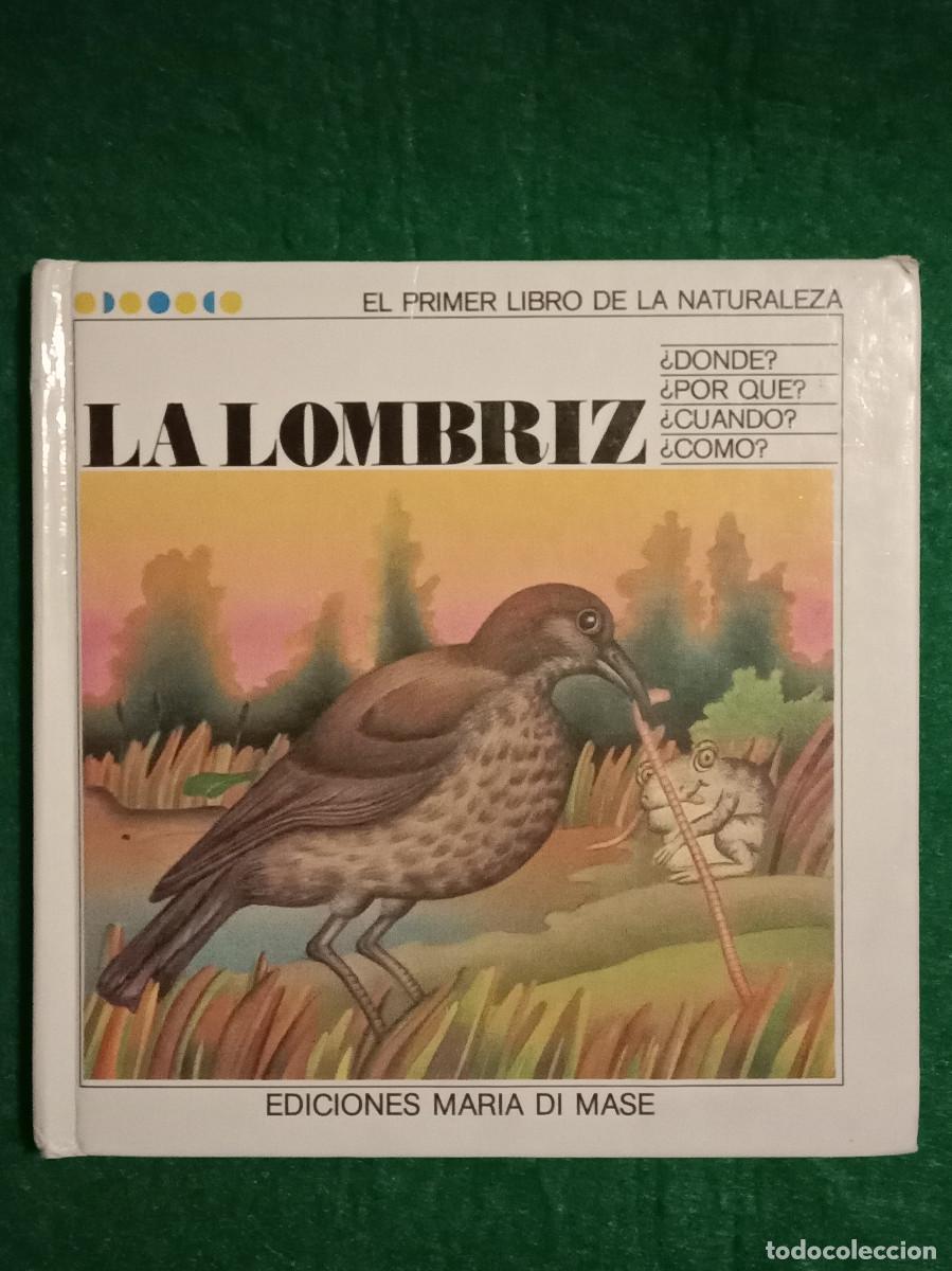 Libros de segunda mano: El Primer Libro de la Naturaleza - La Lombriz - Edit. Ediciones Mar&iacute;a Di Mase. 1980