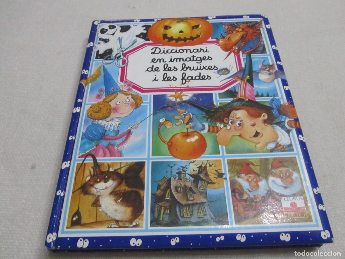 Libros de segunda mano: DICCIONARI EN IMATGES DE LES BRUIXES I LES FADES,DICCIONARIO EN IMAGENES DE LAS BRUJAS Y LAS HADAS