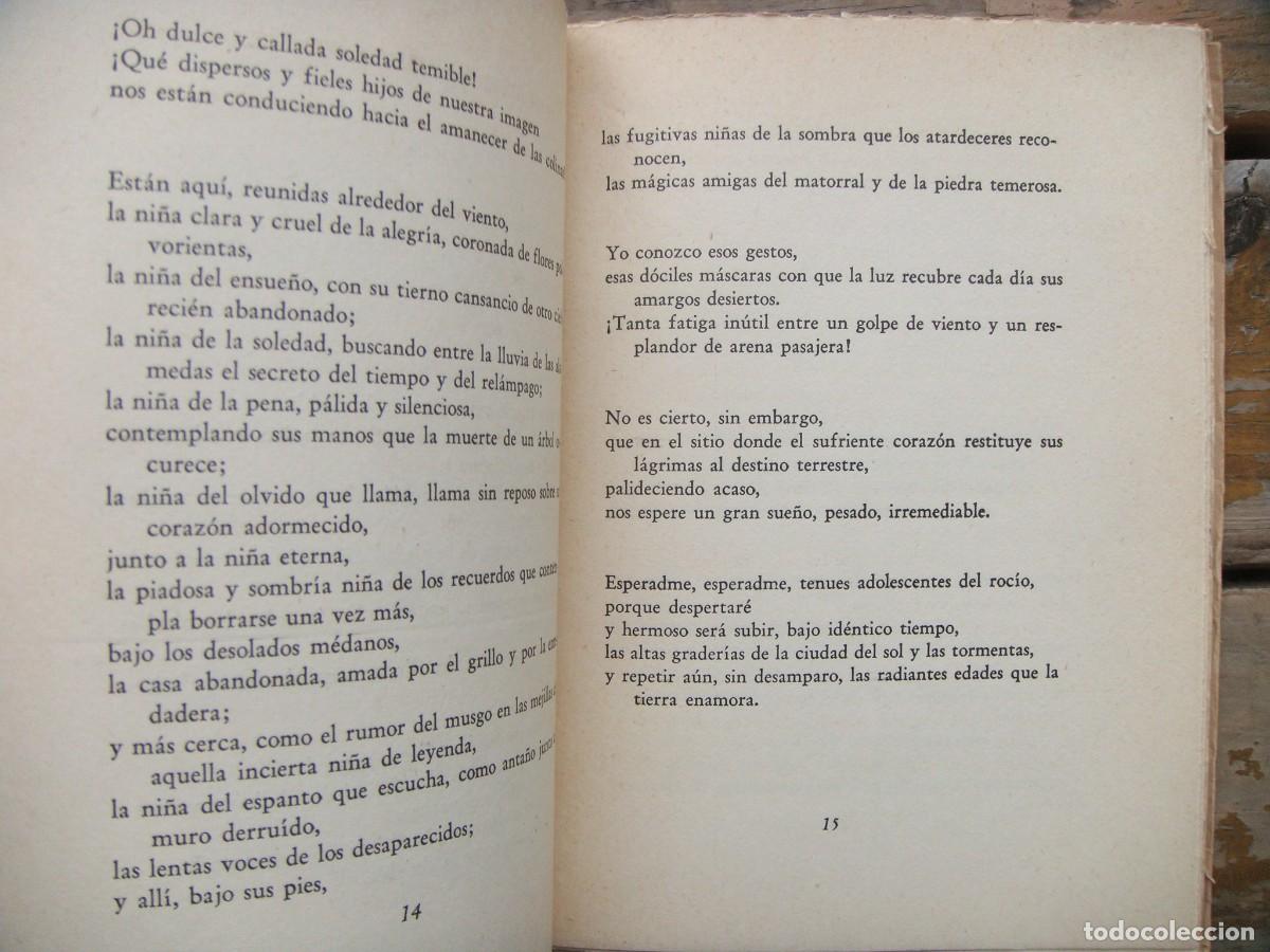 Libros de segunda mano: Olga Orozco: DESDE LEJOS. Primera edici&oacute;n - Foto 3