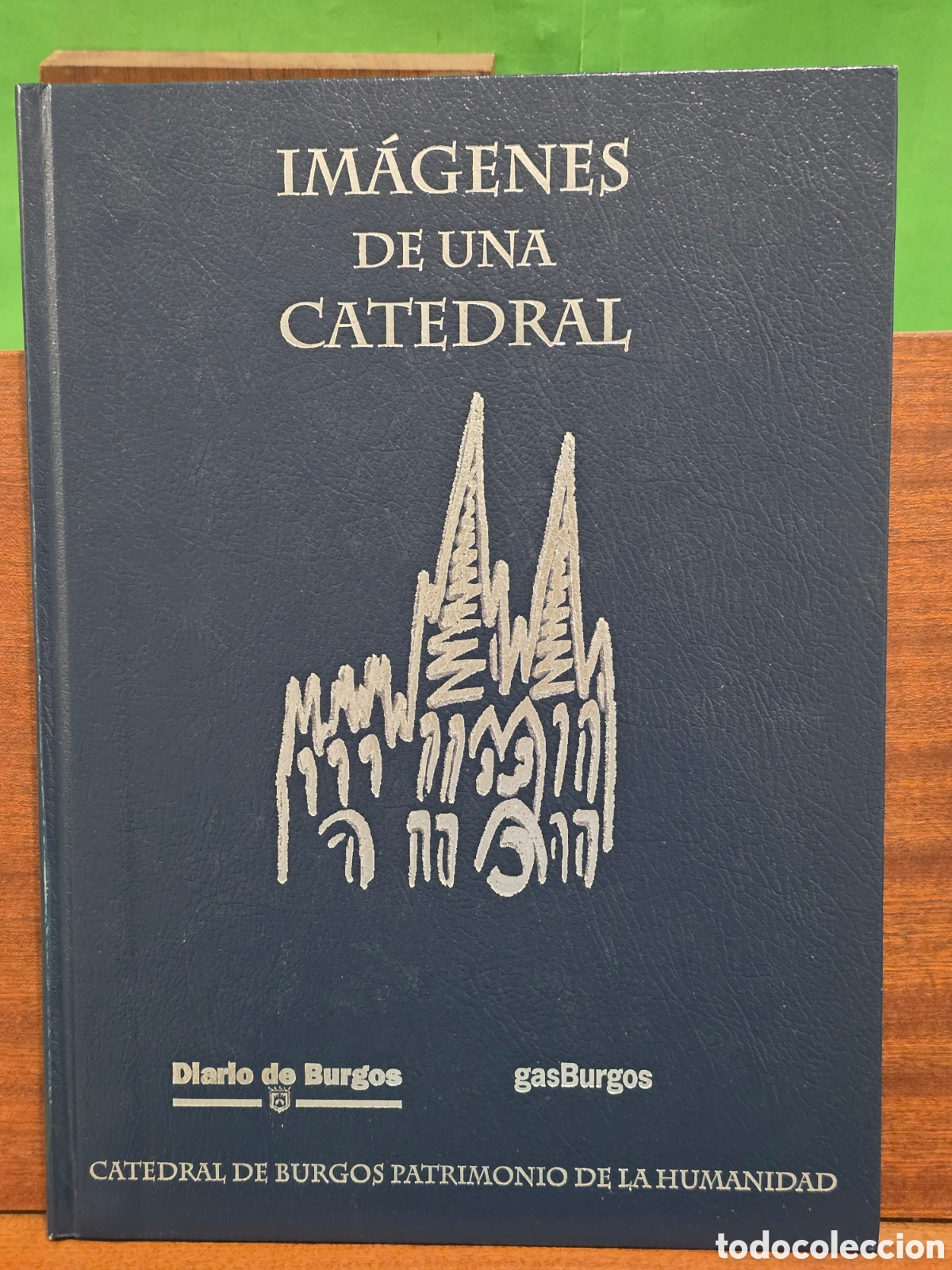 Libros de segunda mano: &rdquo;&rdquo;IMAGENES DE UNA CATEDRAL&rdquo;&rdquo;...CATEDRAL DE BURGOS PATRIMONIO DE LA HUMANIDAD&rdquo;&rdquo;...ENRIQUE DEL RIVERO.