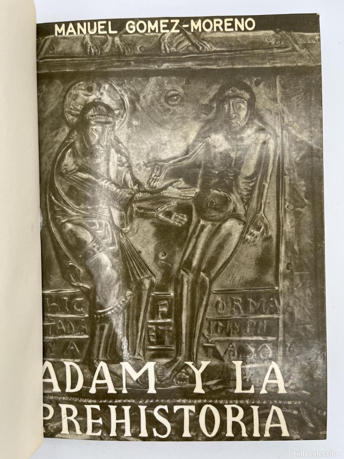 Libros de segunda mano: Adam y la prehistoria - Manuel G&oacute;mez Moreno