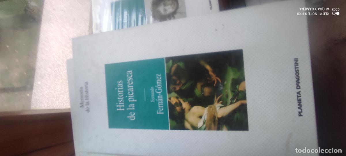 Libros de segunda mano: HISTORIAS DE LA PICARESCA, FERNANDO FERN&Aacute;N - G&Oacute;MEZ. PLANETA DEAGOSTINI. MEMORIA DE LA HISTORIA N. 24