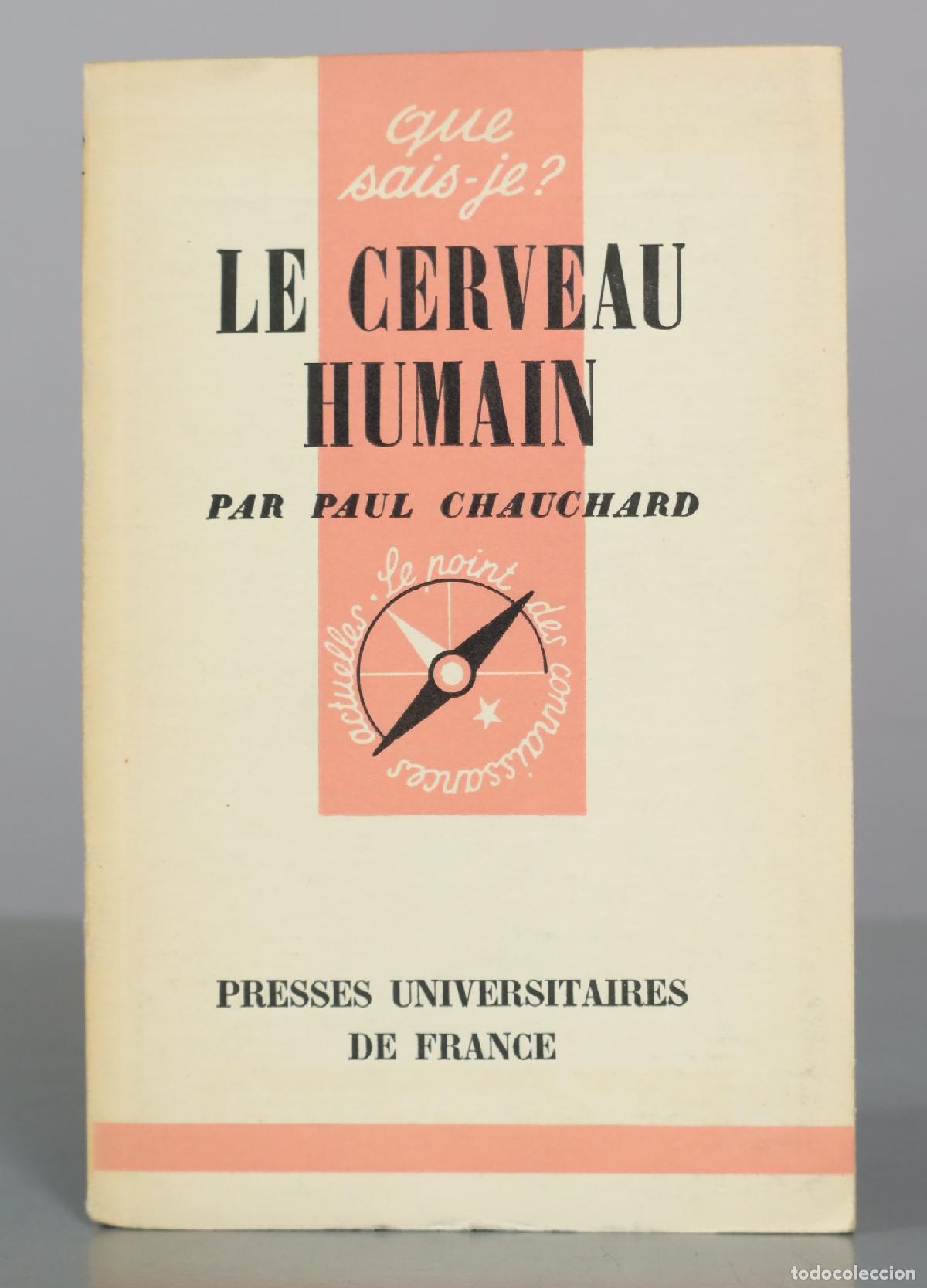 Libros de segunda mano: Le Cerveau Humain - Paul Chauchard - Presses Universitaires de France