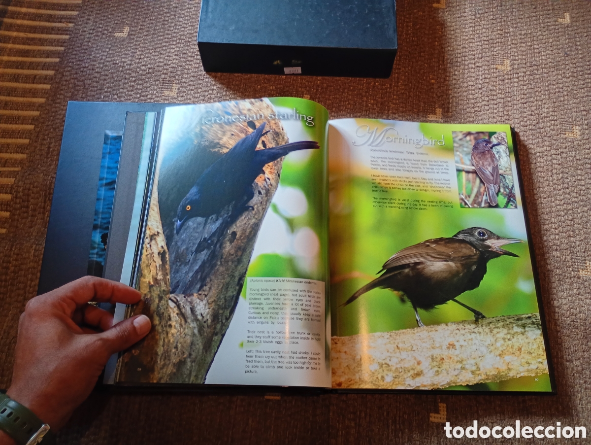 Libros de segunda mano: Cultural history, Natural history - Foto 15