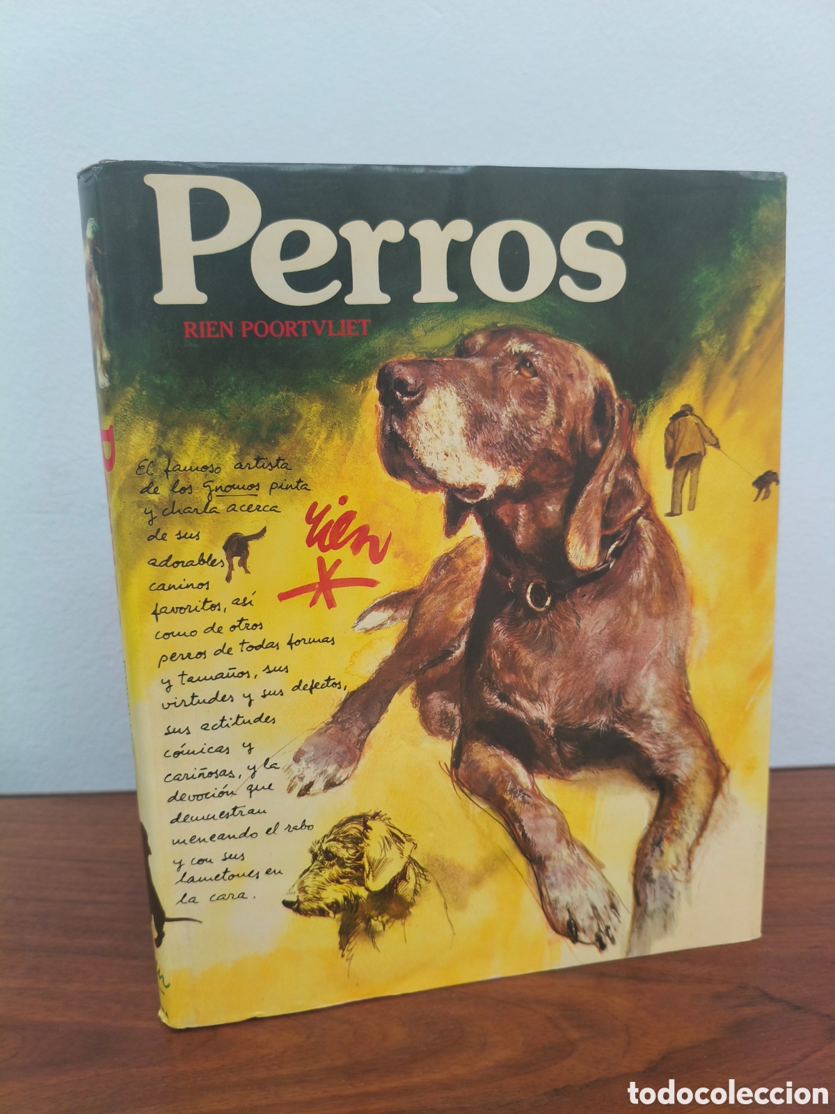 Libros de segunda mano: PERROS RIEN POORTVLIET ED. MONTENA 1984