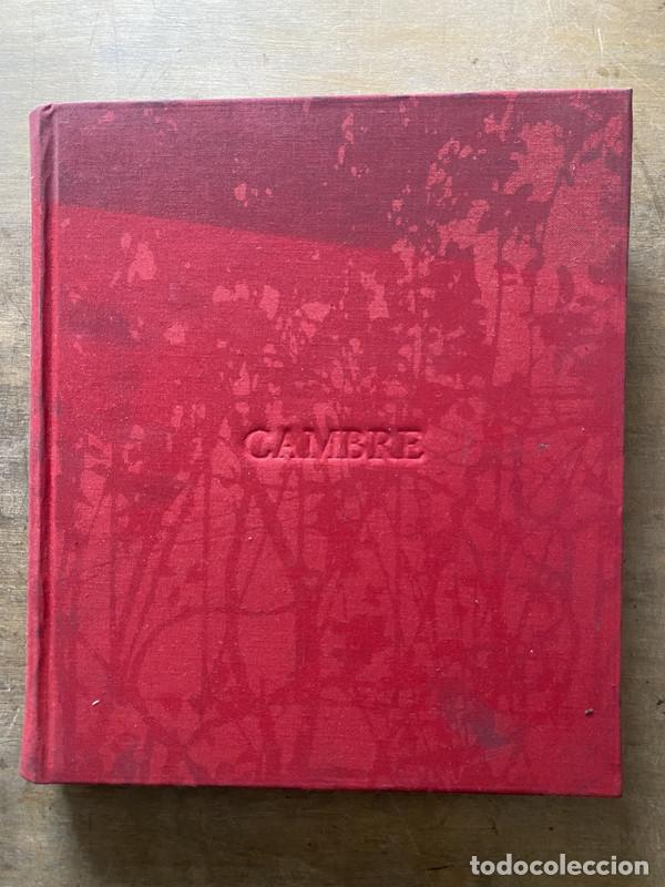 Libros de segunda mano: CAMBRE - Katzenstein Y Fragasso - Foto 2