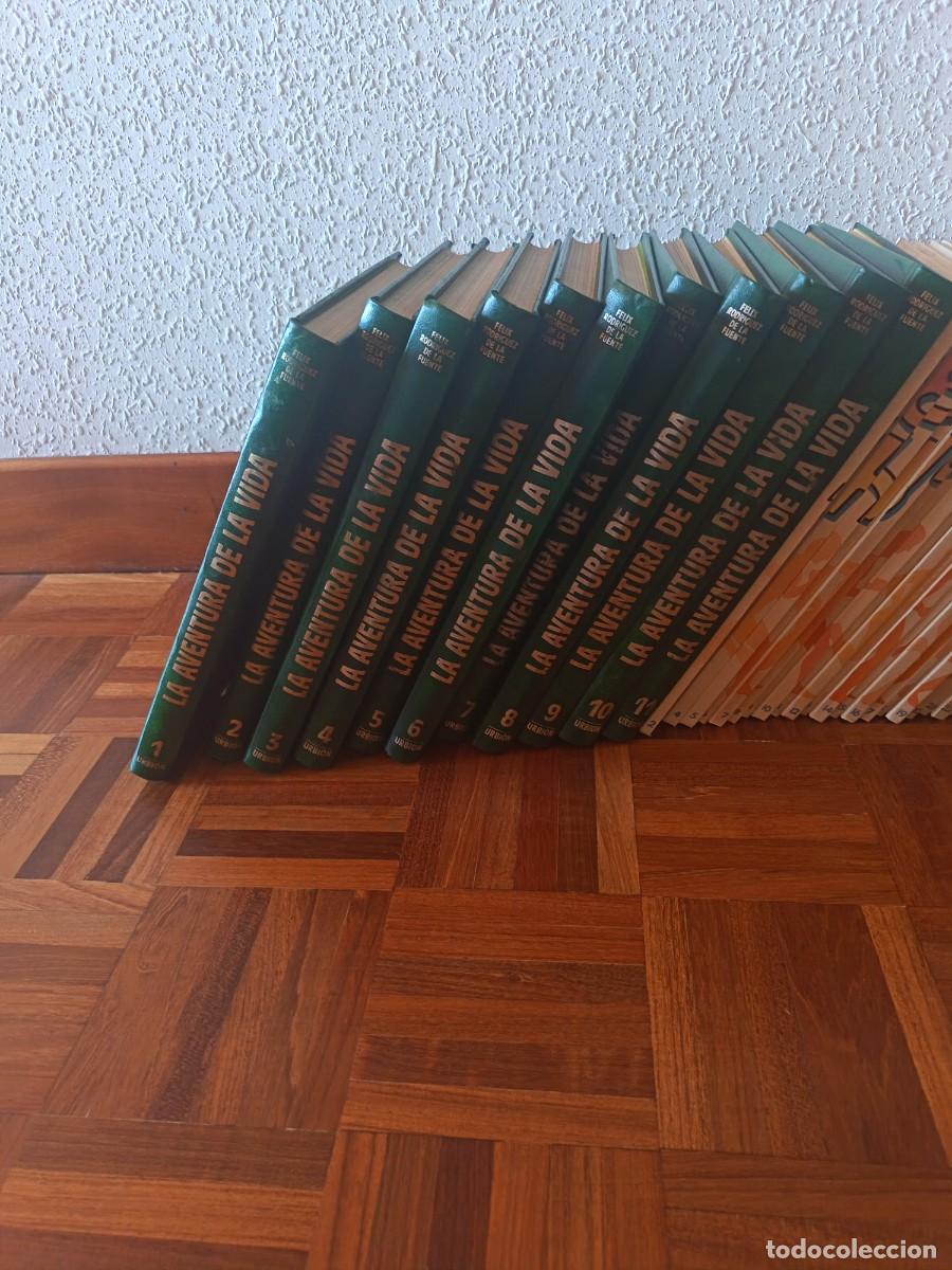 Libros de segunda mano: Enciclopedias infantiles - Foto 2