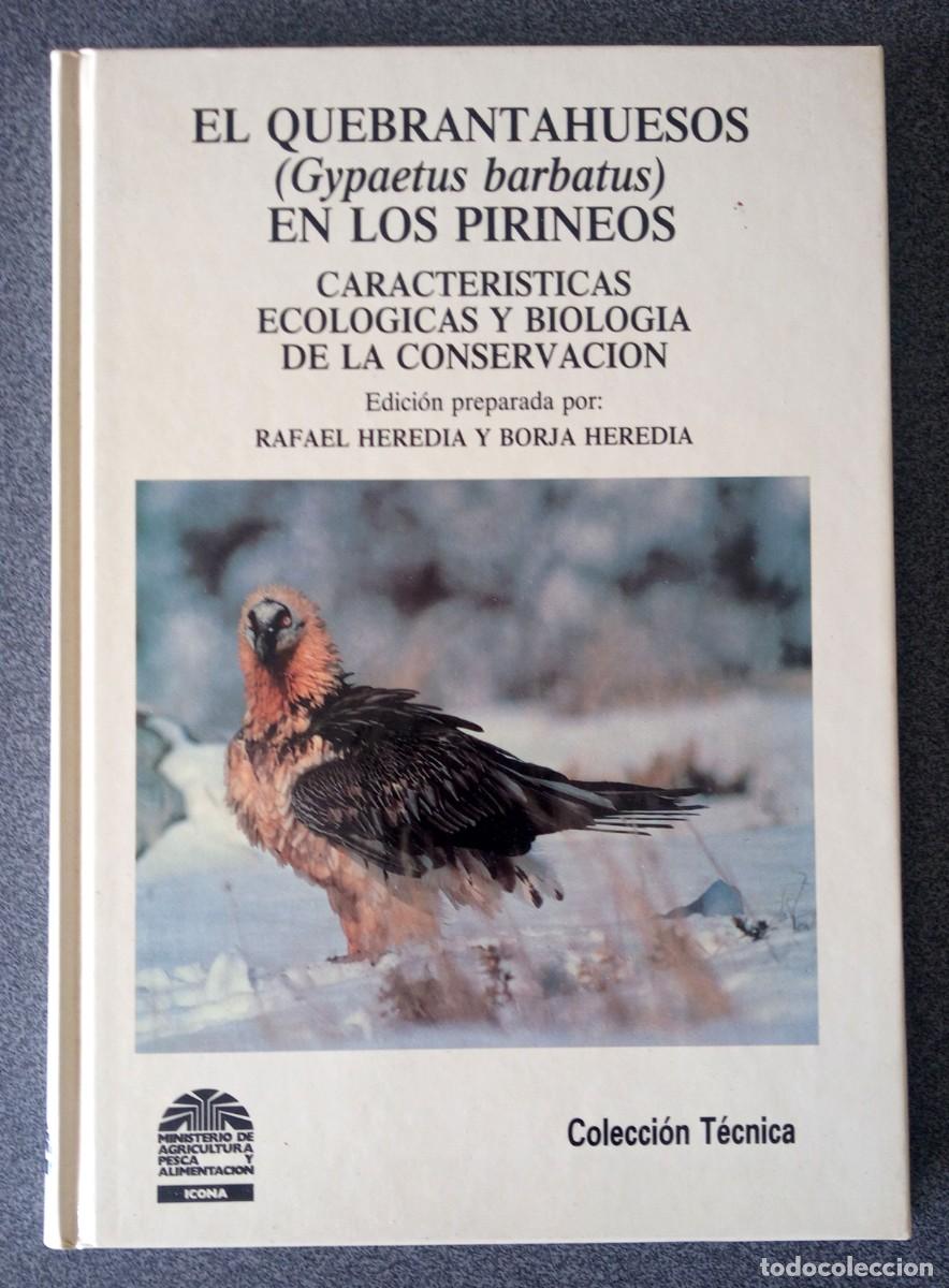 Libros de segunda mano: El Quebrantahuesos En Los Pirineos Rafael Hered&iacute;a T Borja Hered&iacute;a