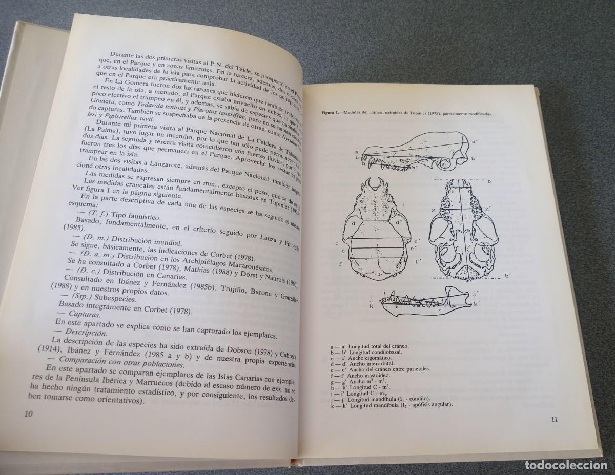 Libros de segunda mano: Murcielagos De Las Islas Canarias D.Trujillo - Foto 7