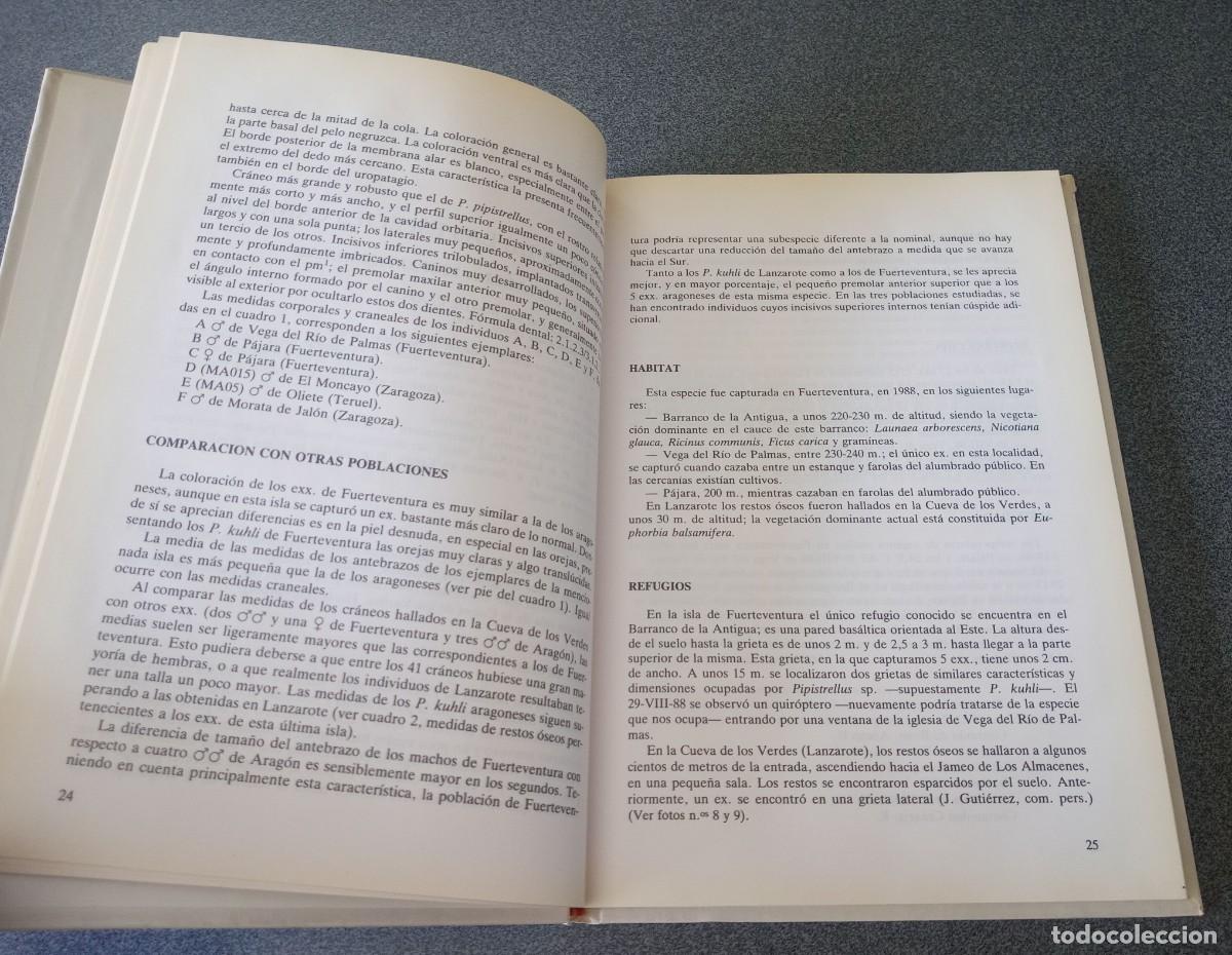 Libros de segunda mano: Murcielagos De Las Islas Canarias D.Trujillo - Foto 8