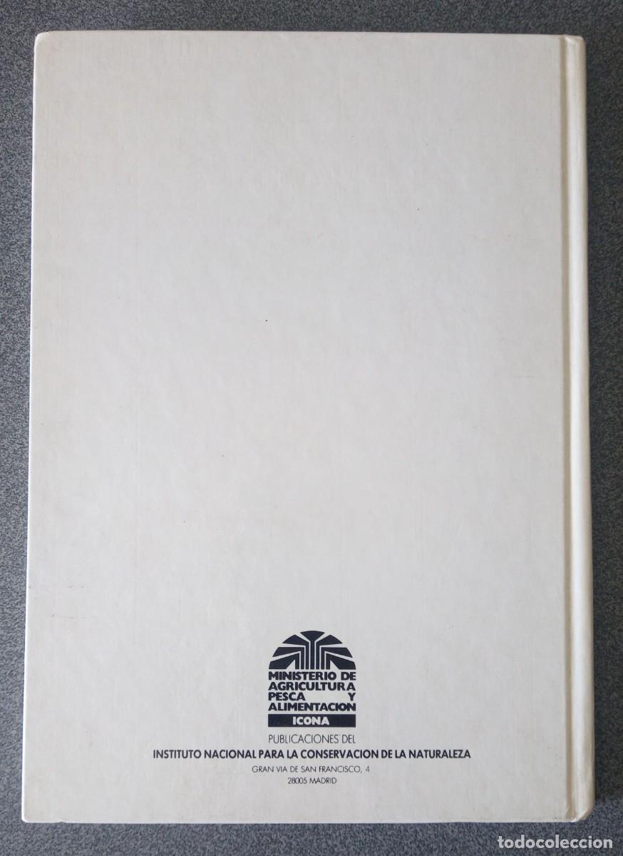 Libros de segunda mano: Murcielagos De Las Islas Canarias D.Trujillo - Foto 10