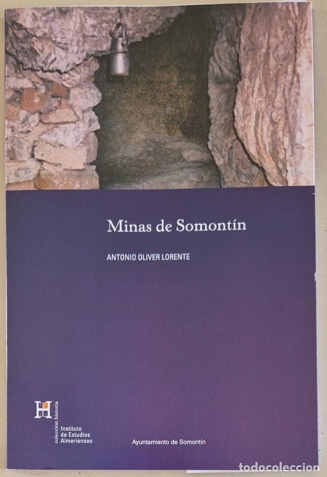 Livres d'occasion: Minas de Somont&iacute;n - IEA