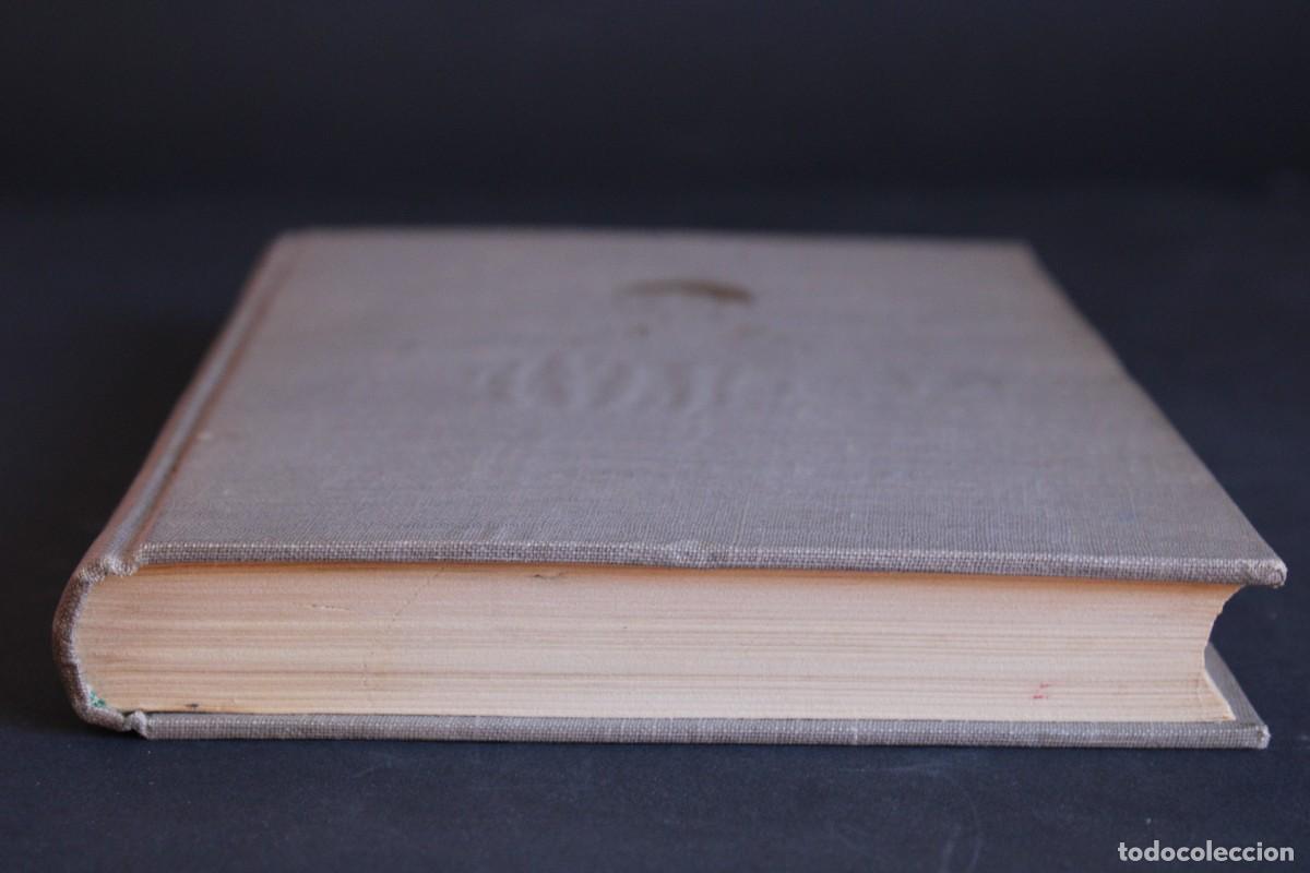 Libros de segunda mano: EL NEGRITO / RICHARD WRIGHT - Foto 2
