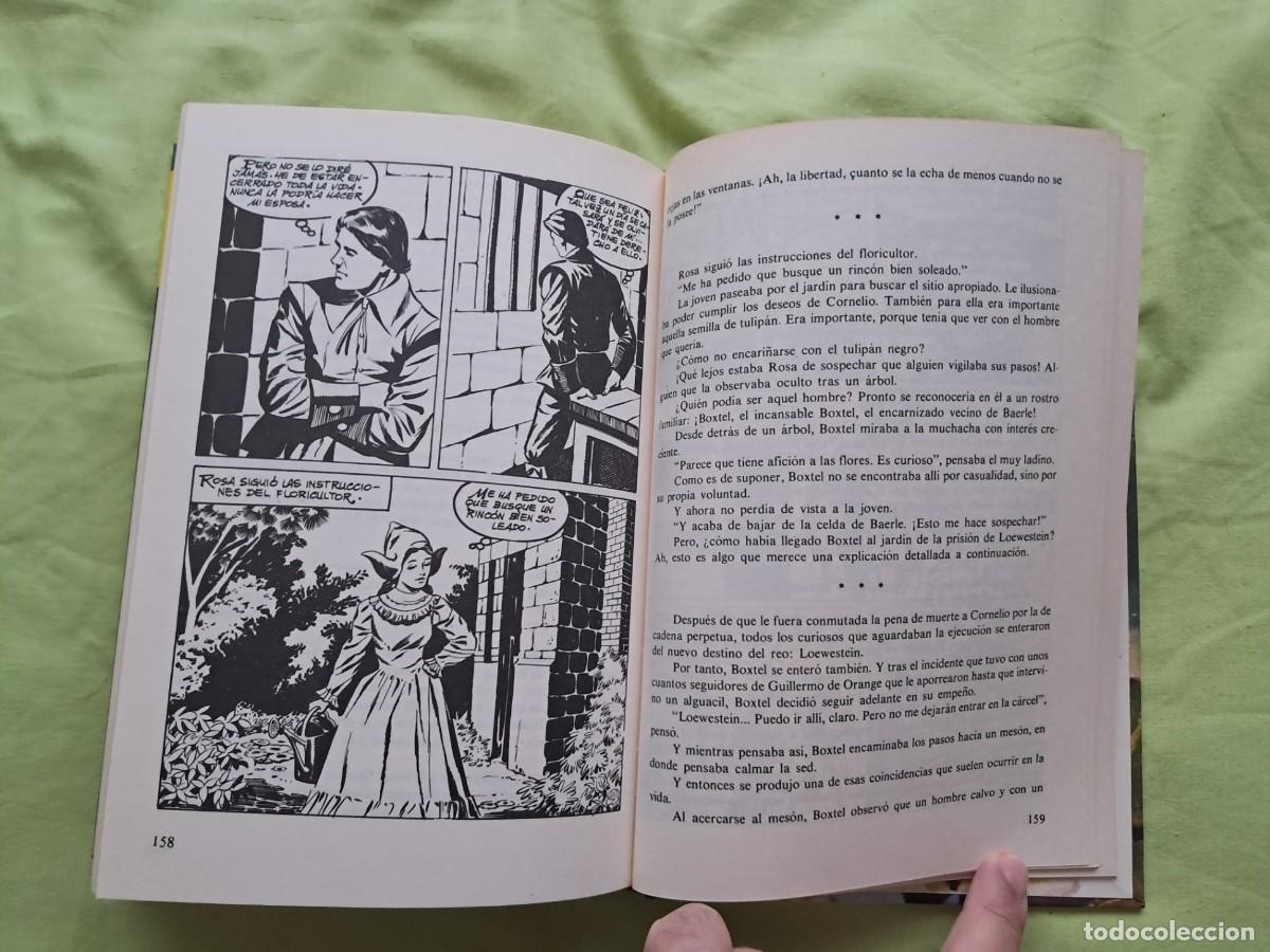 Libros de segunda mano: LIBRO TITULADO &rdquo;EL TULIP&Aacute;N NEGRO&rdquo; DE ALEJANDRO DUMAS. EDITORIAL TORAY - Foto 4