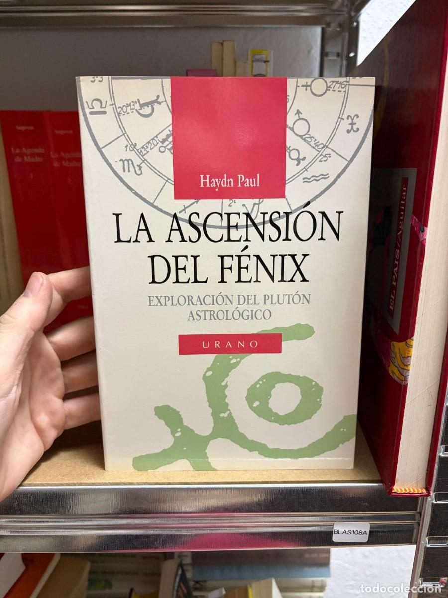 Libros de segunda mano: BLAS108A Haydn Paul LA ASCENSION DEL F&Eacute;NIX EXPLORACI&Oacute;N DEL PLUT&Oacute;N ASTROL&Oacute;GICO URANO