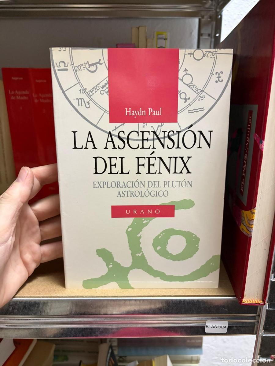 Libros de segunda mano: BLAS108A Haydn Paul LA ASCENSION DEL F&Eacute;NIX EXPLORACI&Oacute;N DEL PLUT&Oacute;N ASTROL&Oacute;GICO URANO