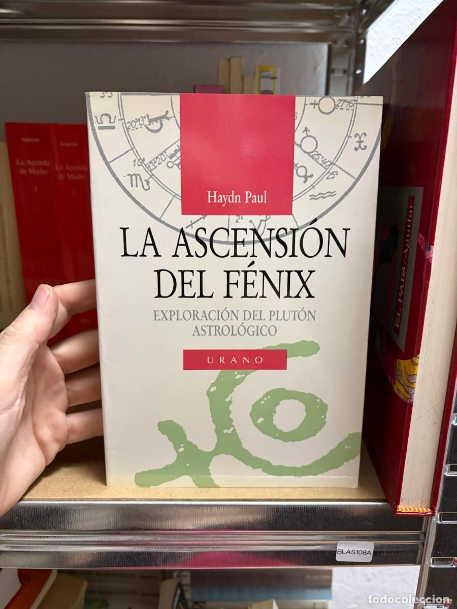 Libros de segunda mano: BLAS108A Haydn Paul LA ASCENSION DEL F&Eacute;NIX EXPLORACI&Oacute;N DEL PLUT&Oacute;N ASTROL&Oacute;GICO URANO