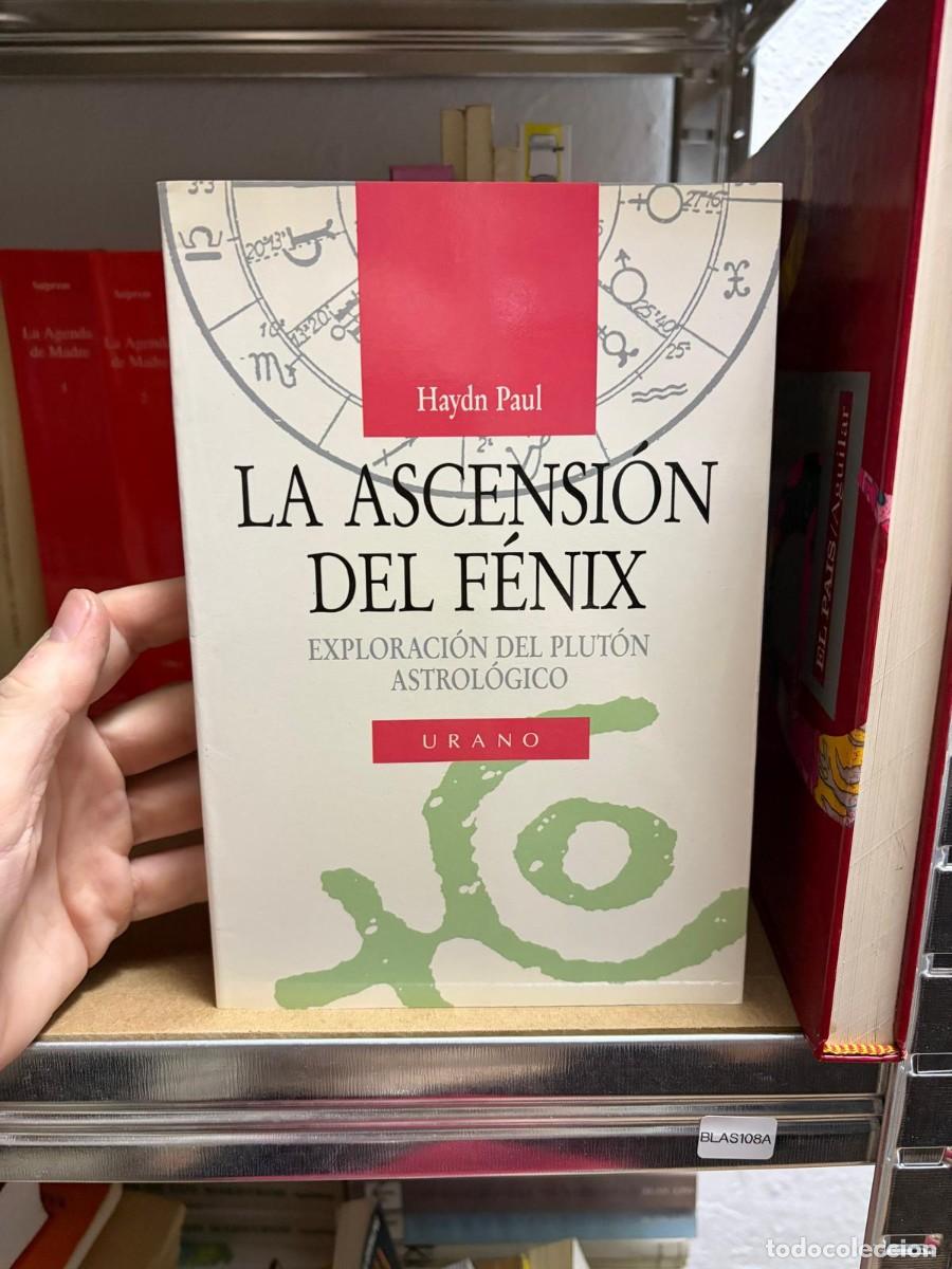 Libros de segunda mano: BLAS108A Haydn Paul LA ASCENSION DEL F&Eacute;NIX EXPLORACI&Oacute;N DEL PLUT&Oacute;N ASTROL&Oacute;GICO URANO