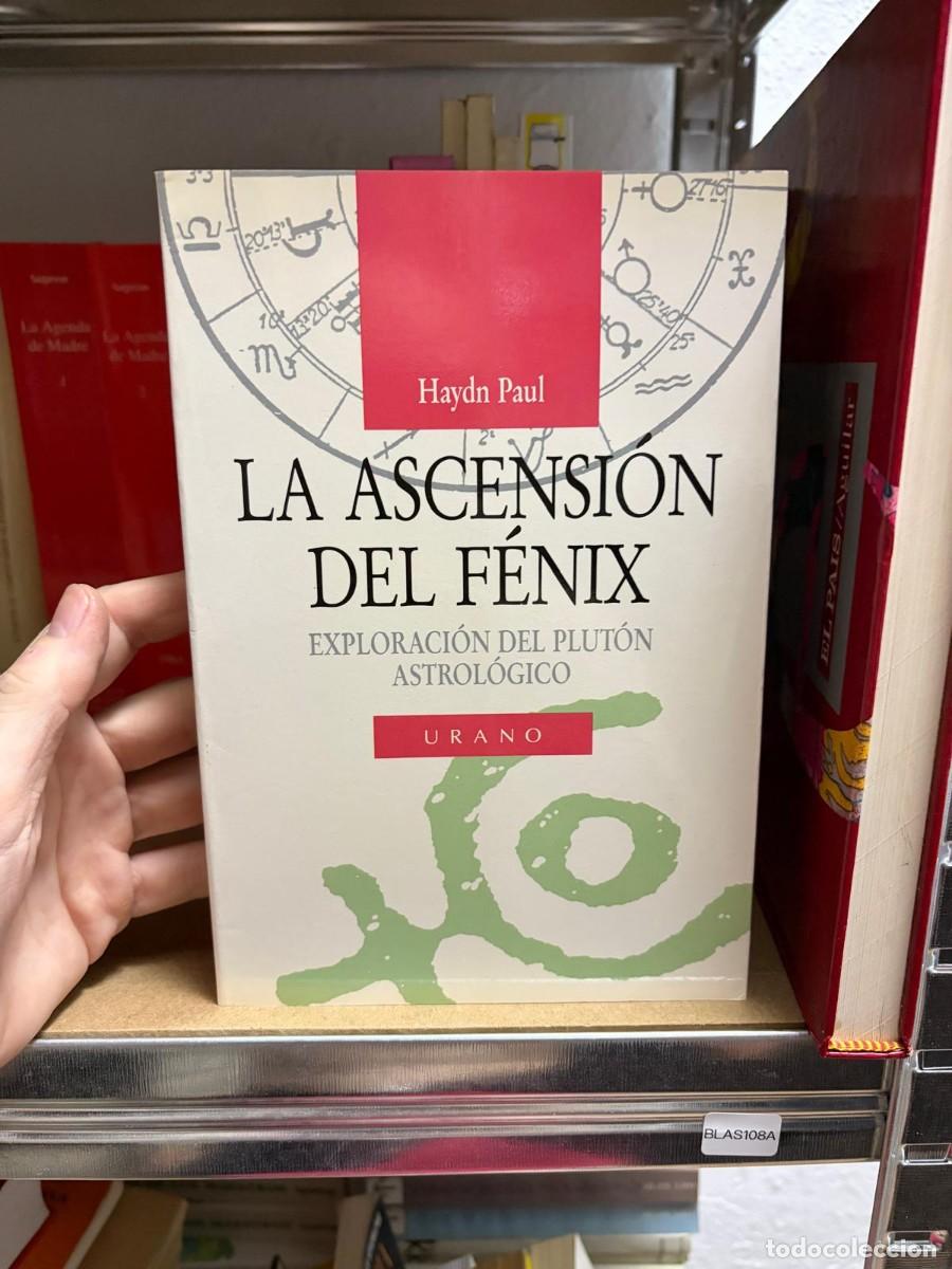Libros de segunda mano: BLAS108A Haydn Paul LA ASCENSION DEL F&Eacute;NIX EXPLORACI&Oacute;N DEL PLUT&Oacute;N ASTROL&Oacute;GICO URANO