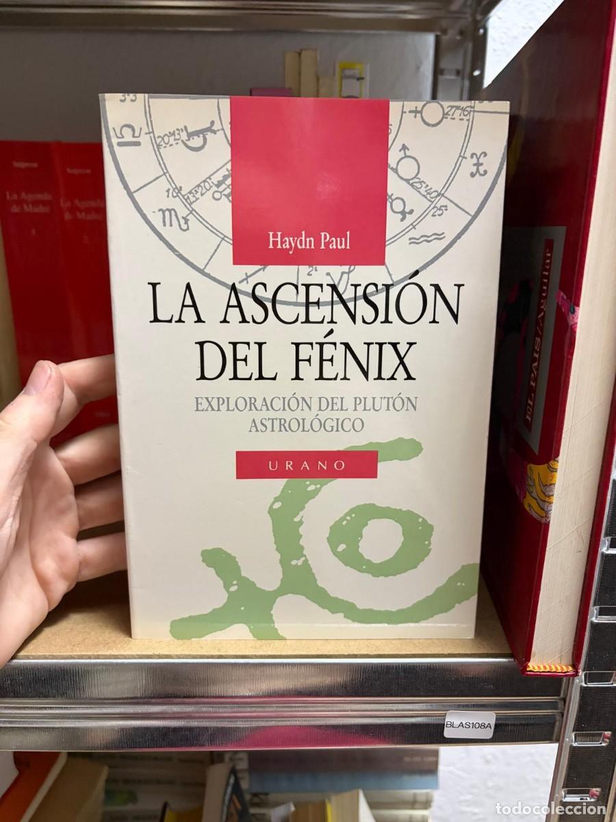Libros de segunda mano: BLAS108A Haydn Paul LA ASCENSION DEL F&Eacute;NIX EXPLORACI&Oacute;N DEL PLUT&Oacute;N ASTROL&Oacute;GICO URANO