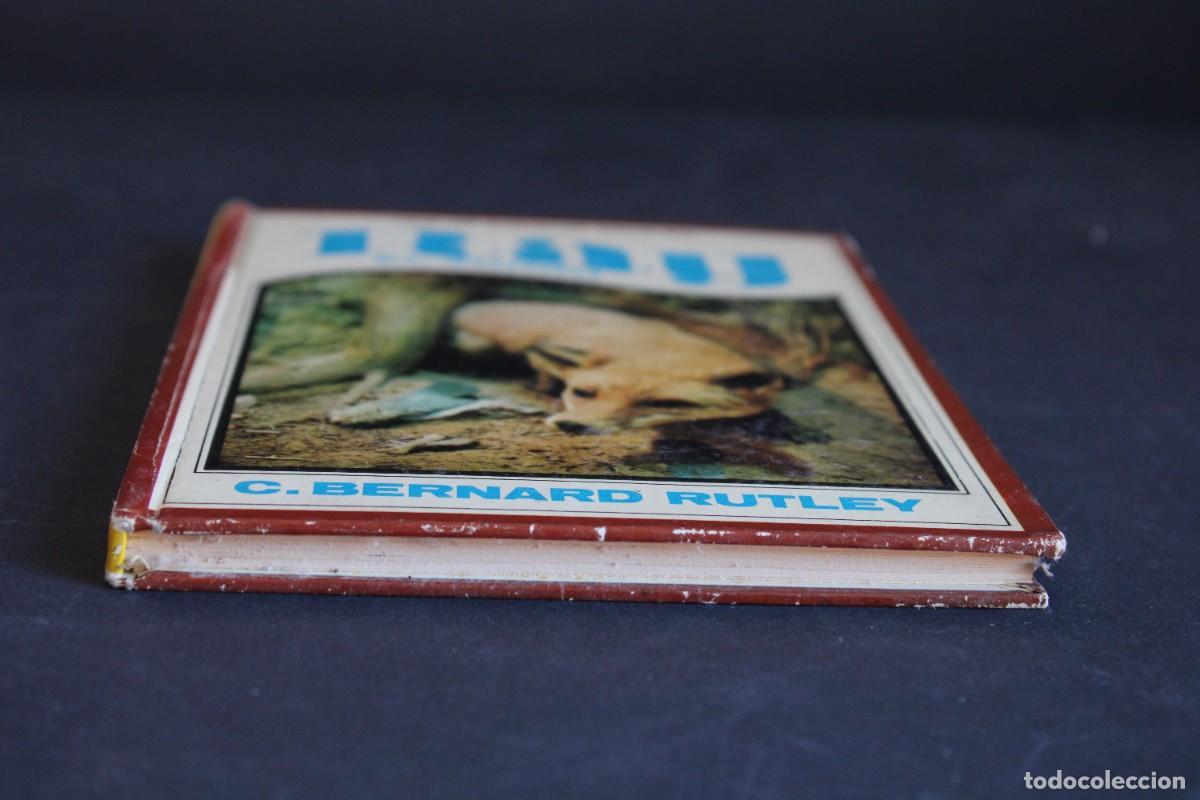Libros de segunda mano: RAY,EL ZORRO / C.BERNARD RUTLEY - Foto 2