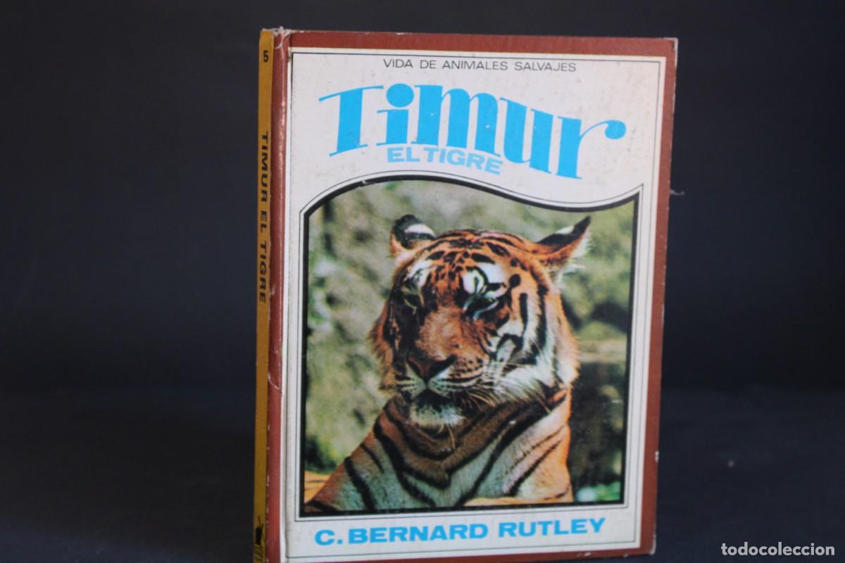Libros de segunda mano: TIMUR,EL TIGRE / C.BERNARD RUTLEY