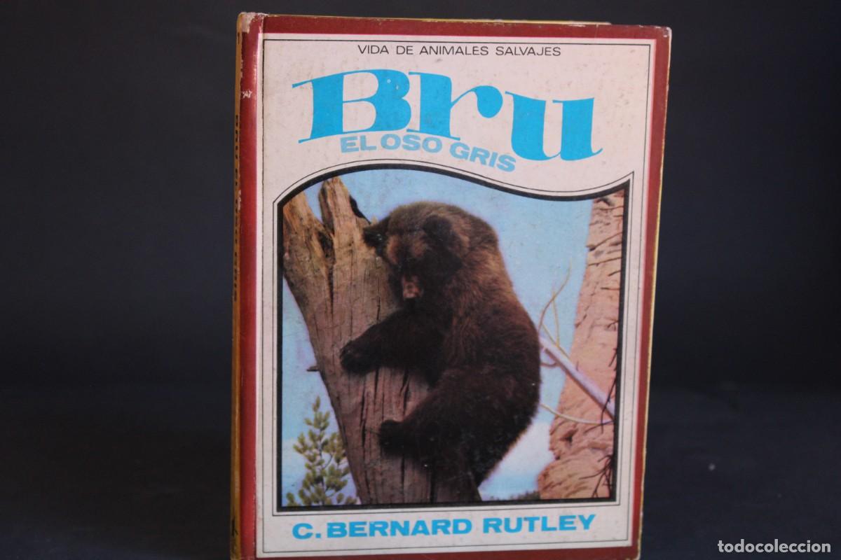 Libros de segunda mano: BRU,EL OSO GRIS / C.BERNARD RUTLEY