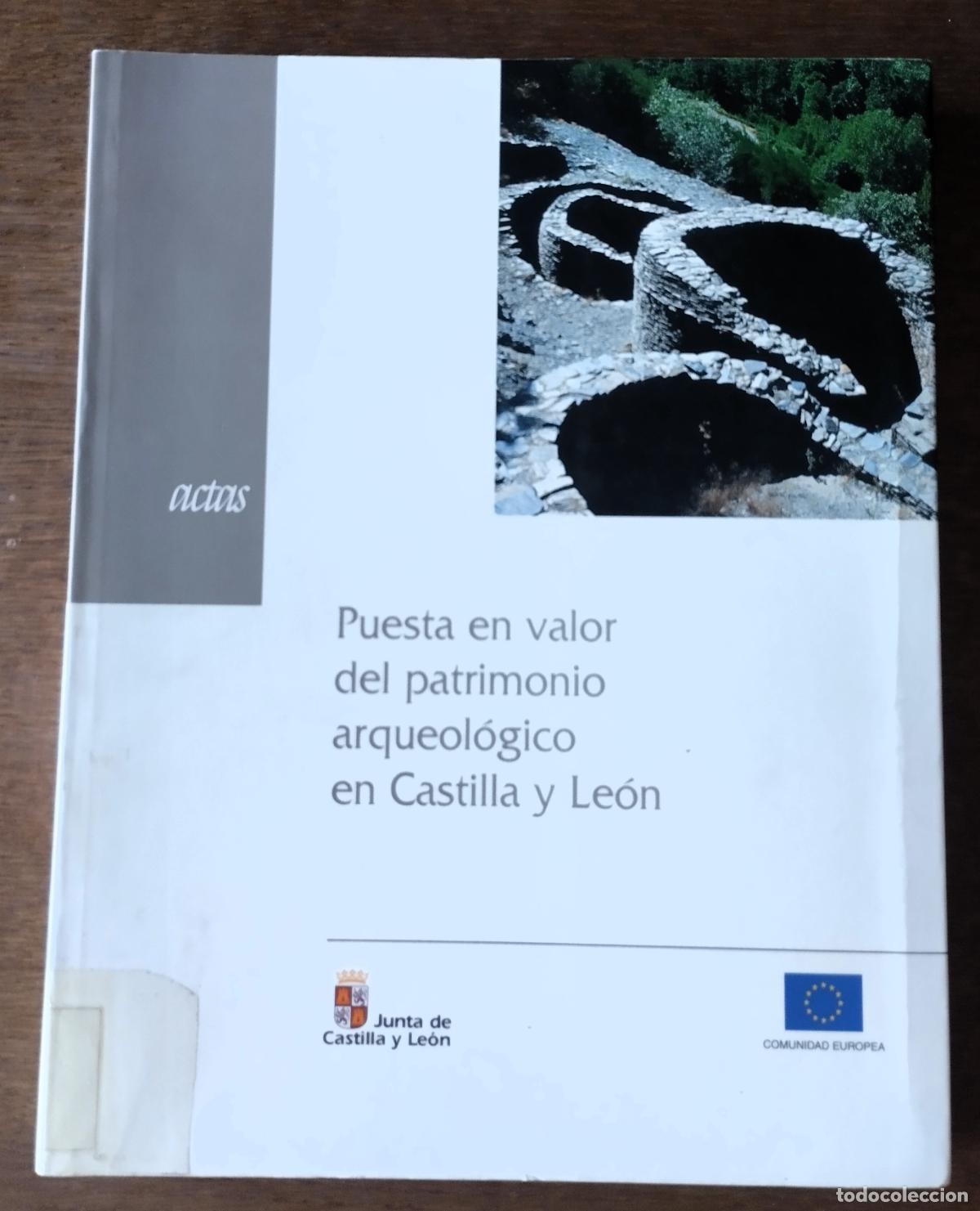 Libros de segunda mano: Puesta en valor del patrimonio arqueol&oacute;gico en Castilla y Le&oacute;n, Actas, Junta de Castilla y Le&oacute;n, 200