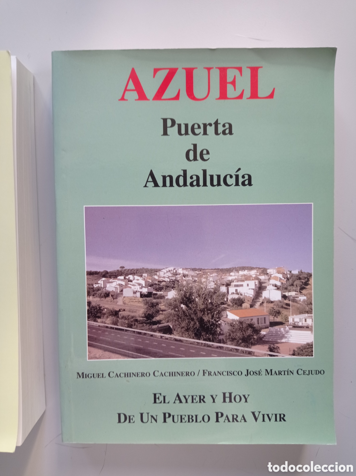 Libros de segunda mano: AZUEL. PUERTA DE ANDALUC&Iacute;A. MIGUEL CACHINERO Y FRANCISCO J. MART&Iacute;N CEJUDO. 2021.