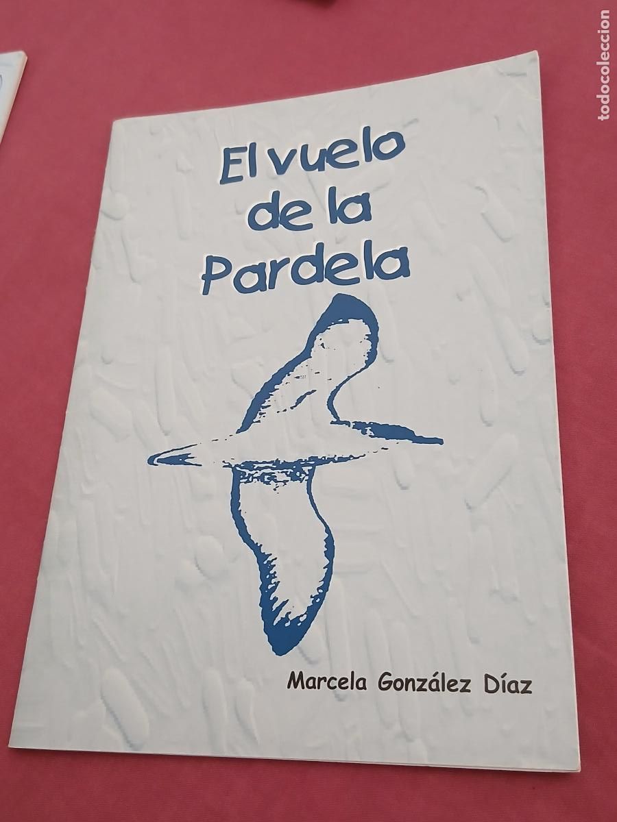 Libros de segunda mano: El vuelo de la pardela. Cabildo de fuerteventura.