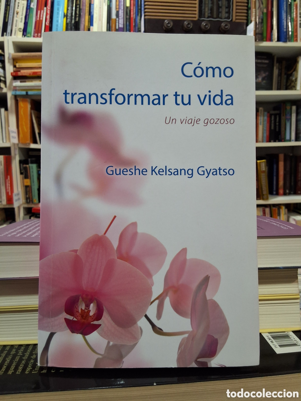 Libros de segunda mano: C&Oacute;MO TRANSFORMAR TU VIDA. UN VIAJE GOZOSO - GUESHE KELSANG GYATSO - ENV&Iacute;O DESDE 1,50 &euro; - BUDISMO