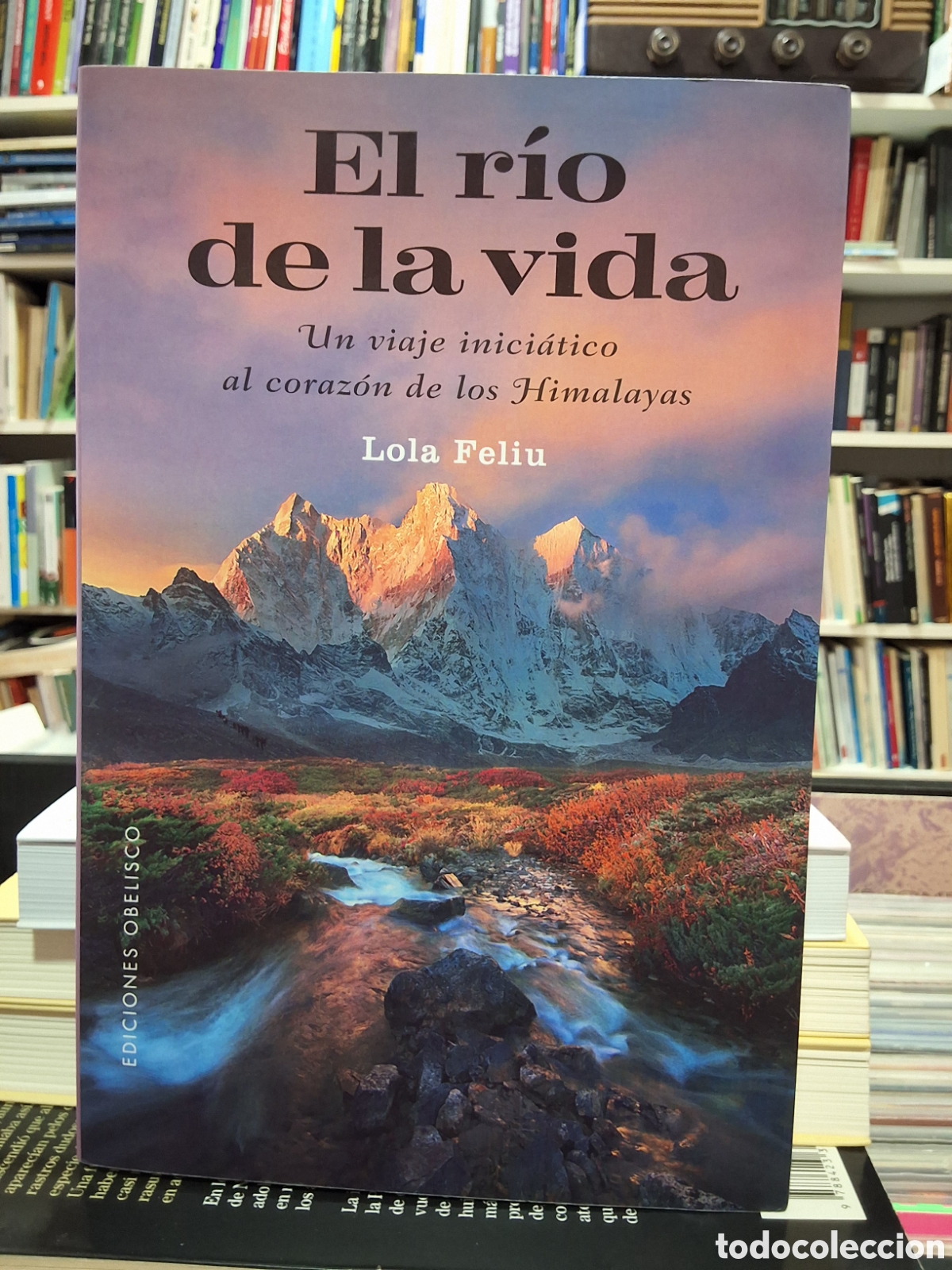 Libros de segunda mano: EL RIO DE LA VIDA - UN VIAJE INICI&Aacute;TICO AL CORAZ&Oacute;N DE LOS HIMALAYAS - LOLA FELIU