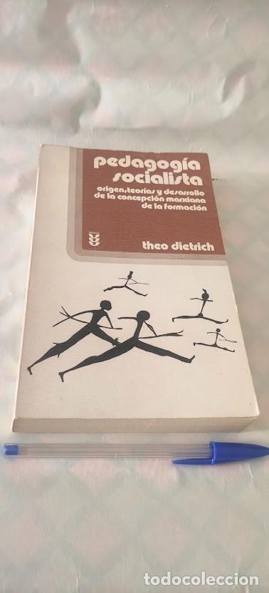 Libros de segunda mano: Pedagog&iacute;a socialista - Theo Dietrich - 1976 Ediciones S&iacute;gueme - ISBN 8430104151