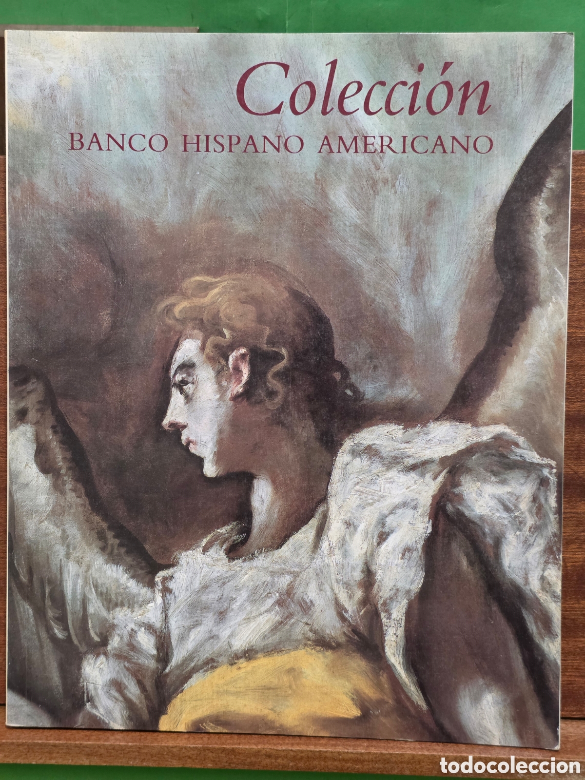 Libros de segunda mano: &rdquo;&rdquo;COLECCI&Oacute;N BANCO HISPANO AMERICANO&rdquo;&rdquo;...FUNDACI&Oacute;N...CAT&Aacute;LOGO...