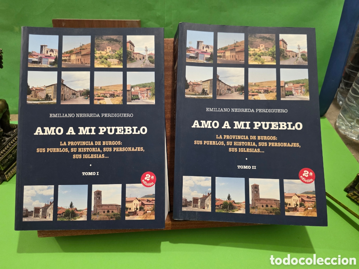 Libros de segunda mano: &rdquo;&rdquo;AMO A MI PUEBLO&rdquo;&rdquo;...LA PROVINCIA DE BURGOS:SUS PUEBLOS, SU HISTORIA, SUS PERSONAJES, SUS IGLESIAS.