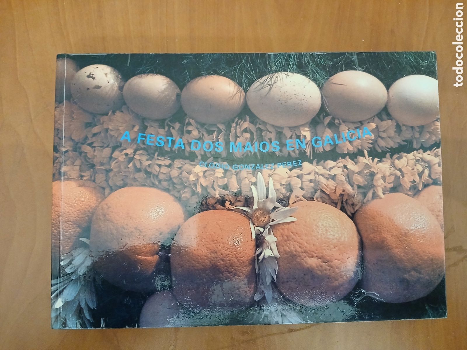 Libros de segunda mano: A Festa dos Maiosen Galicia. Clodio Gonz&aacute;lez P&eacute;rez. GALICIA.