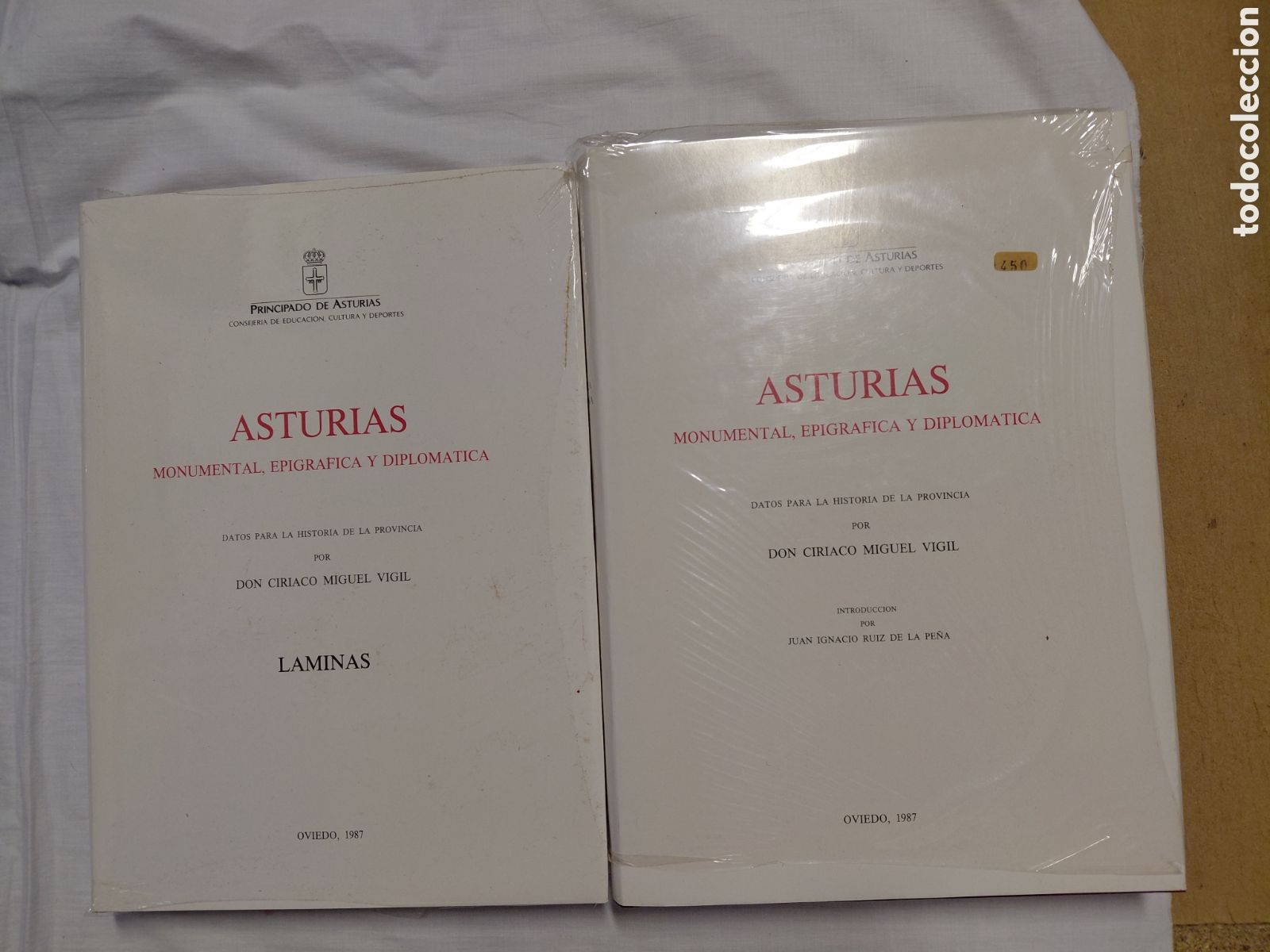 Libros de segunda mano: ASTURIAS MONUMENTAL EPIGRAFICA Y DIPLOMATICA.2 TOMOS.CIRIACO MIGUEL VIGIL.OVIEDO 1987