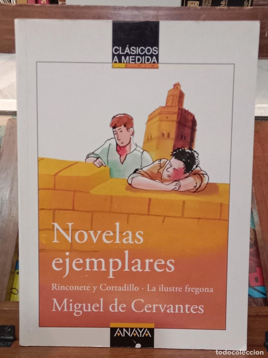 Libri di seconda mano: Novelas Ejemplares: Rinconete y Cortadillo / La Ilustre Fregona - Miguel de Cervantes - Anaya 2006