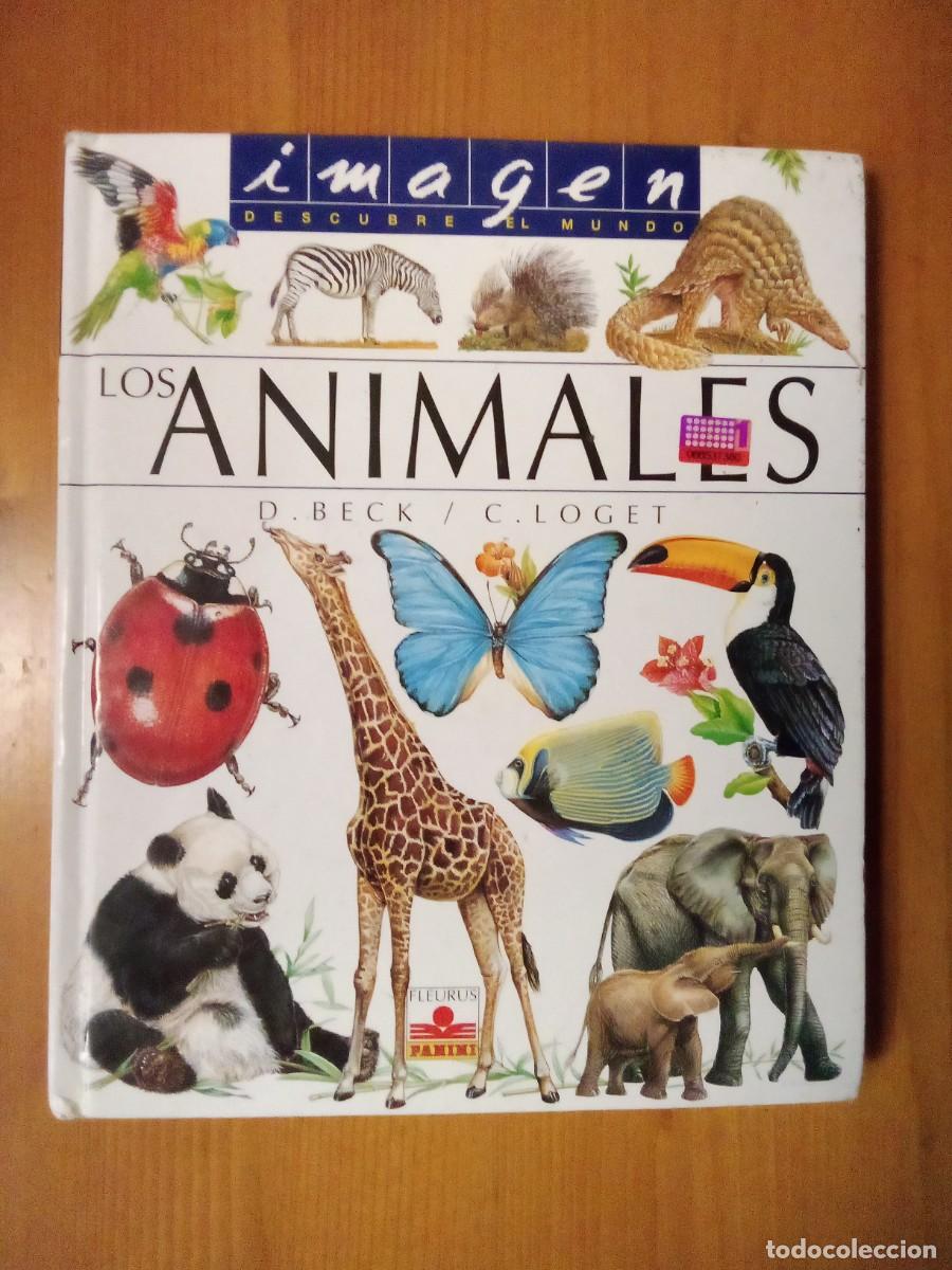 Libri di seconda mano: LOS ANIMALES, BECK LOGET, IMAGEN DESCUBRE EL MUNDO, FLEURUS PANINI